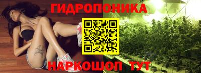 прущие грибы Гатчина
