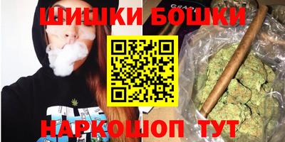 прущие грибы Гатчина