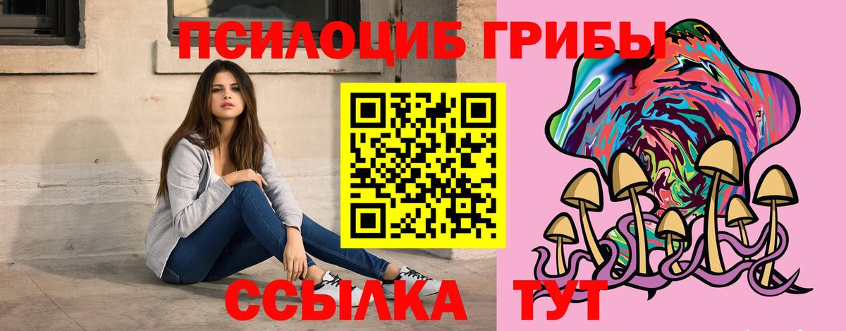 Псилоцибиновые грибы Psilocybe  что такое наркотик  Саки  Вход с VPN 